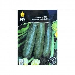 COURGETE DE MILAO - 7GR