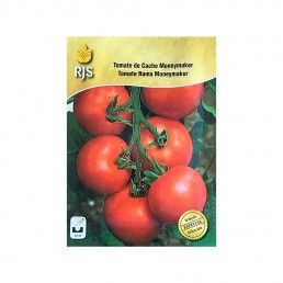 TOMATE CACHO MONEYMAKER - 2GR